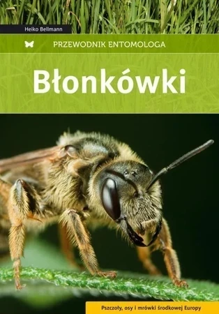 Przewodnik entomologa. Błonkówki