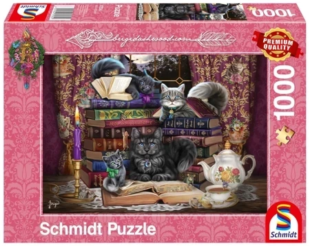 Puzzle 1000 PQ Brigid Ashwood Czas na książkę 111732