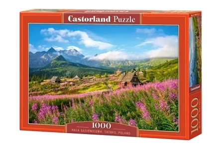 Puzzle 1000 Tatry Hala Gąsienicowa C-104512