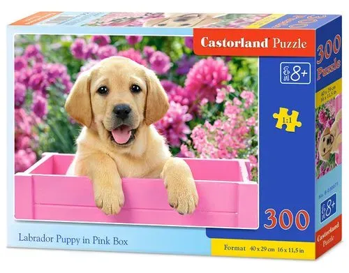 Puzzle 300 Szczenię Labrador w róż. pudle CASTOR