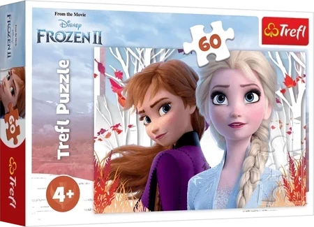 Puzzle 60 Zaczarowany świat Anny i Elsy Frozen 2 17333