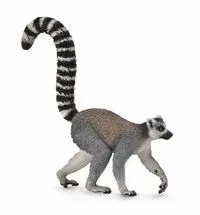 Ring-Tailed Lemur