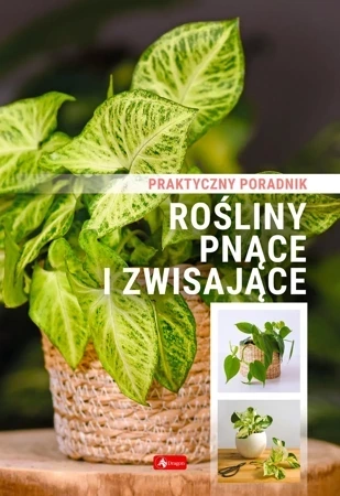 Rośliny pnące i zwisające. Poradnik praktyczny