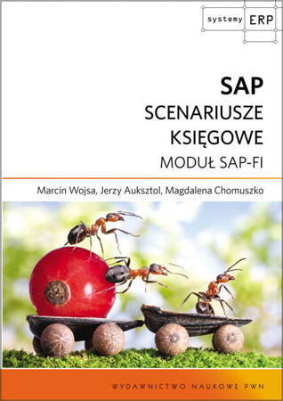 Sap Scenariusze Księgowe