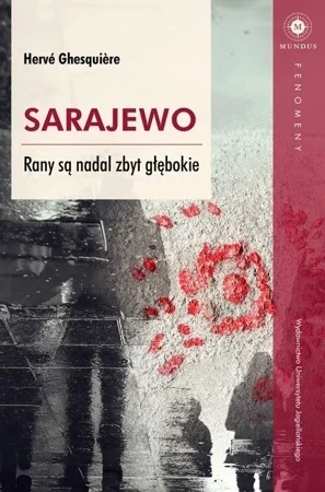 Sarajewo. Rany są nadal zbyt głębokie