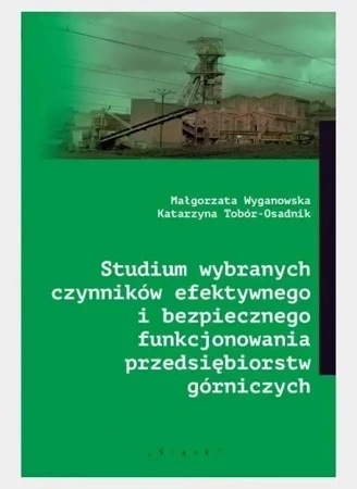 Studium wybranych czynników efektywnego...