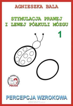 Stymulacja prawej i lewej półkuli 1 Percepcja wzr.