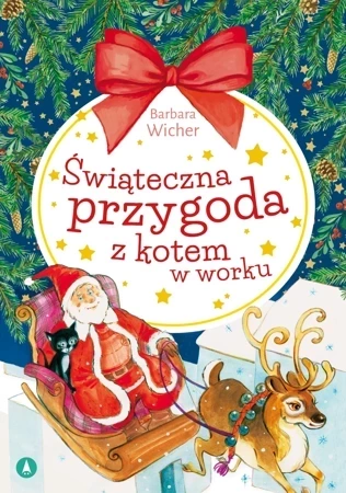 Świąteczna przygoda z kotem w worku