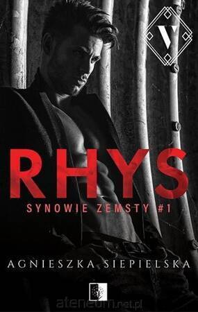 Synowie zemsty Tom 1. Rhys