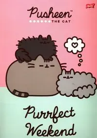 Teczka z gumką A4 Pusheen 10 sztuk