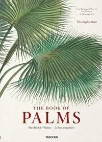 The Book of Palms