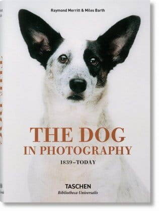 The Dog In Photography 1839 - Today