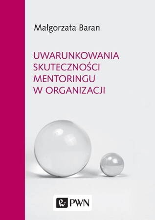 Uwarunkowania Skuteczności Mentoringu W Organizacji