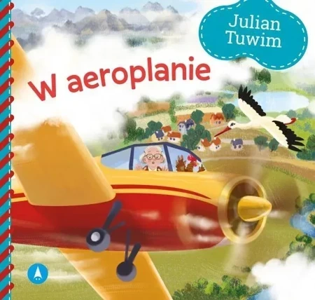 W aeroplanie