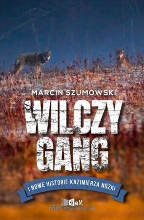 Wilczy gang i nowe historie Kazimierza Nóżki