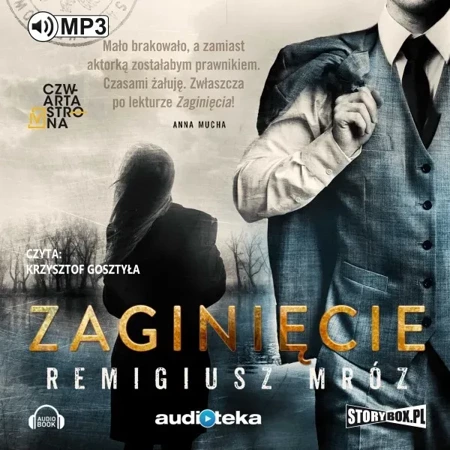 Zaginięcie. Audiobook