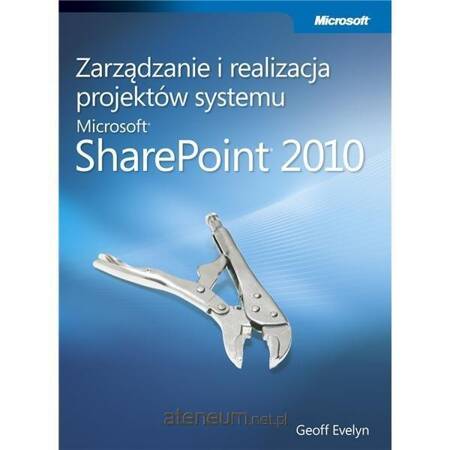 Zarządzanie i realizacja projektów systemu...