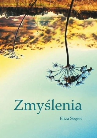 Zmyślenia