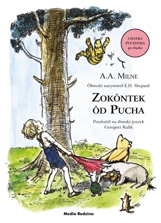 Zokōntek ôd Pucha wer. śląska