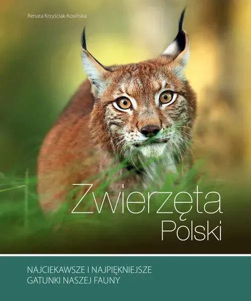 Zwierzęta Polski