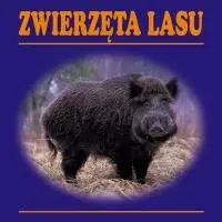 Zwierzęta lasu (składanka)