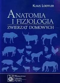 Anatomia i fizjologia zwierząt domowych