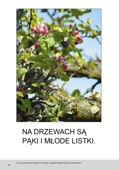 Bardzo proste czytanki dla dzieci - WIOSNA