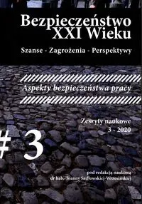 Bezpieczeństwo XXI wieku T.3