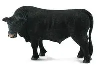 Byk czarny angus