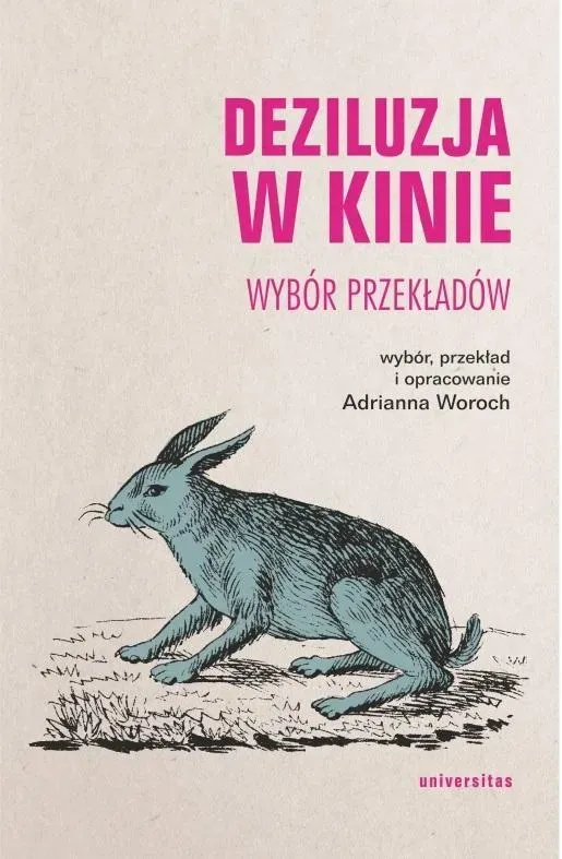 Deziluzja w kinie. Wybór przekładów