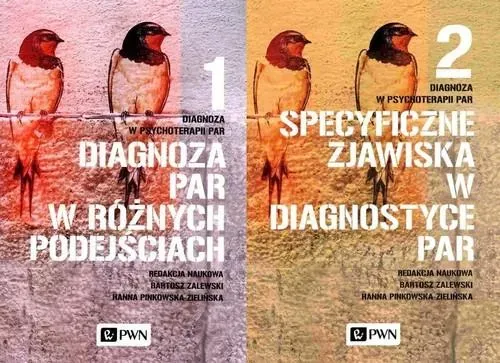 Diagnoza w psychoterapii par. Tom 1-2