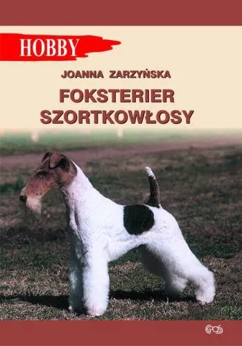 Foksterier szorstkowłosy