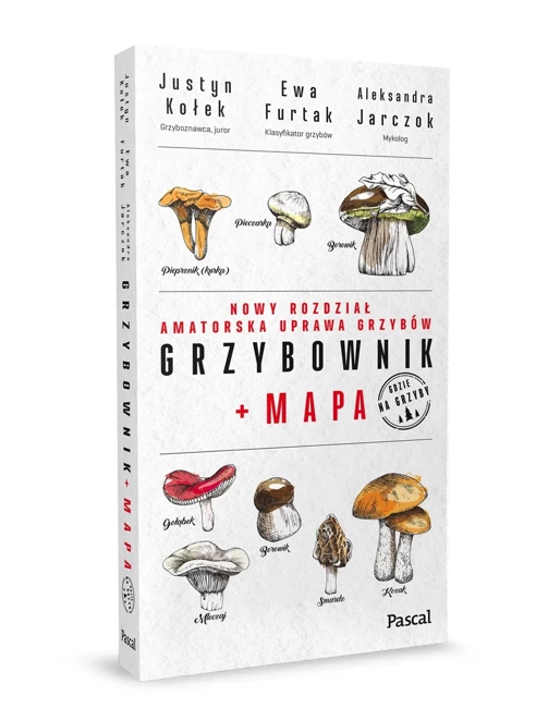 Grzybownik + mapa