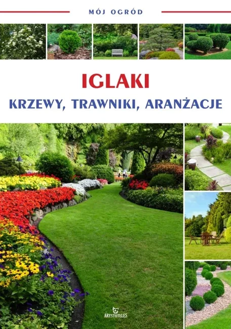 Iglaki, krzewy, trawniki, aranżacje. Mój ogród