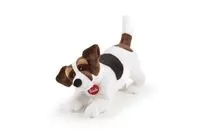 Jack Russel M