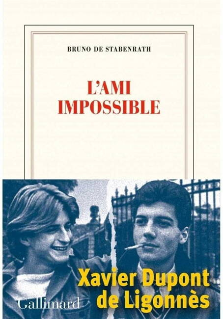 L'ami Impossible