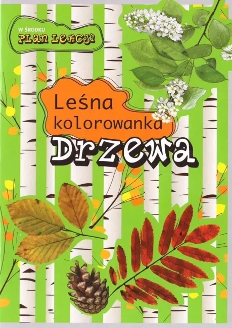 Leśna kolorowanka. Drzewa