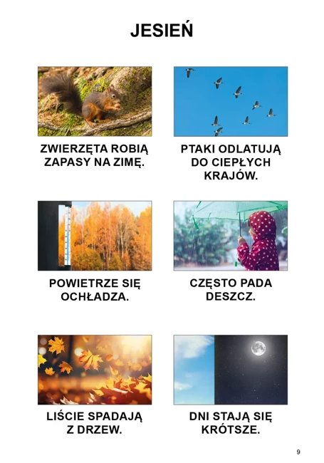 My i świat wokół nas. Podręcznik dla uczniów z niepełnosprawnością intelektualną