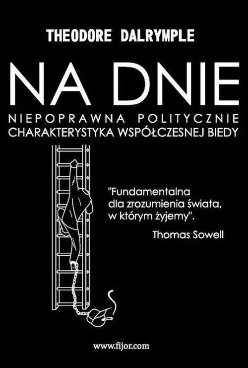 Na dnie. Niepoprawna politycznie charakterystyka współczesnej biedy