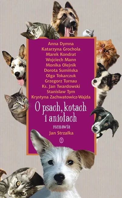 O psach, kotach i aniołach