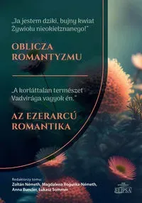 Oblicz romantyzmu