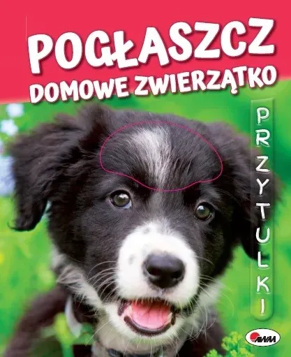 Pogłaszcz domowe  zwierzątko. Przytulki