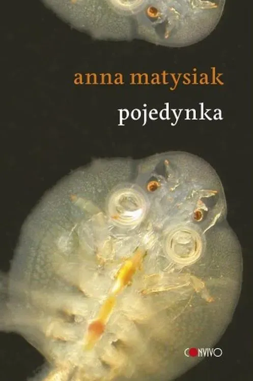 Pojedynka