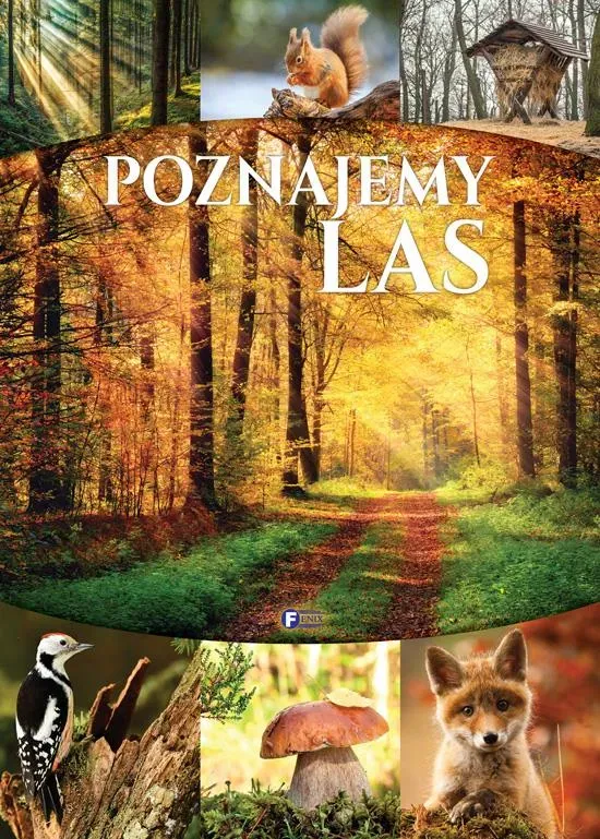 Poznajemy las