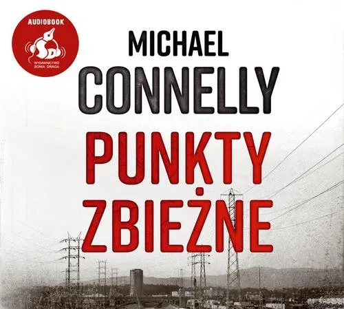 Punkty zbieżne (audiobook)