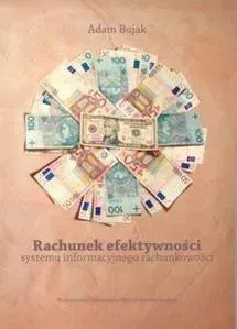 Rachunek efektywności systemu informacyjnego...