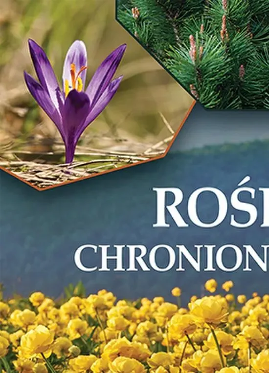 Rośliny chronione w Polsce