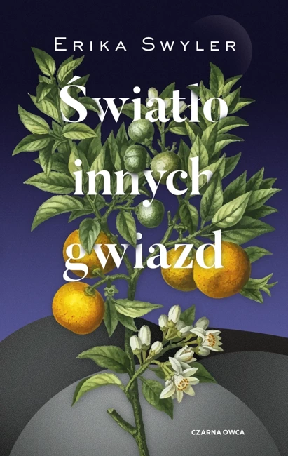 Światło innych gwiazd