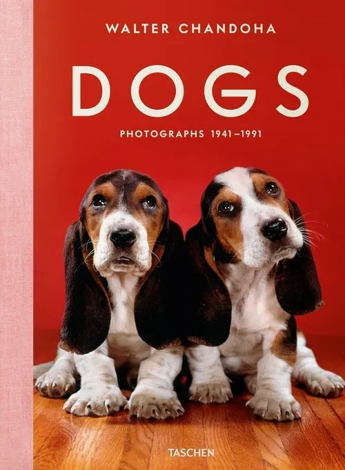 Walter Chandoha Dogs Photographs 1941-1991