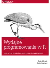 Wydajne programowanie w R